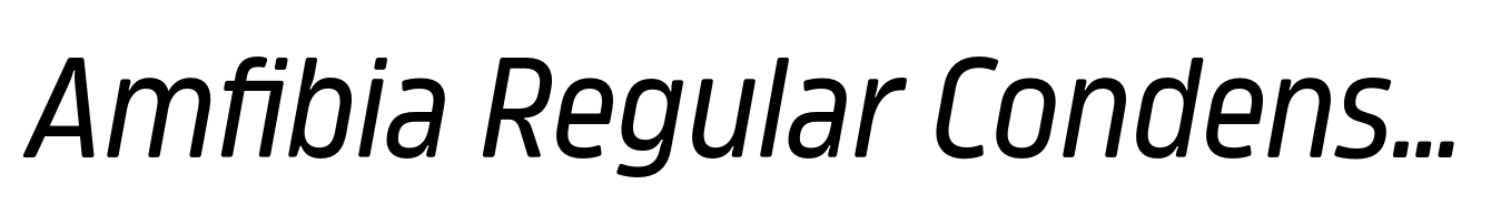 Amfibia Regular Condensed Italic